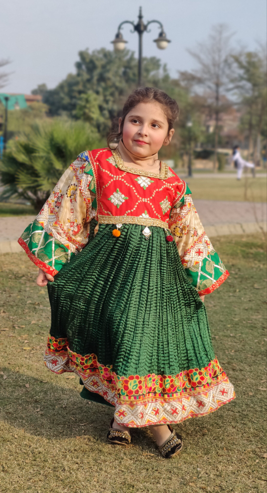 Ab-0001 PALWASHA